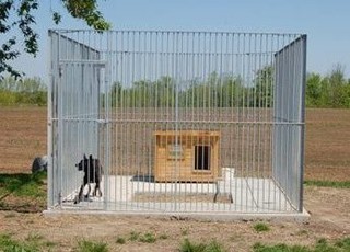 Command Control K-9